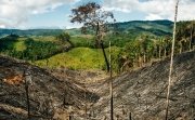 Colombia’s Frontline Environmental Defenders