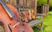 wooden antique musical instruments