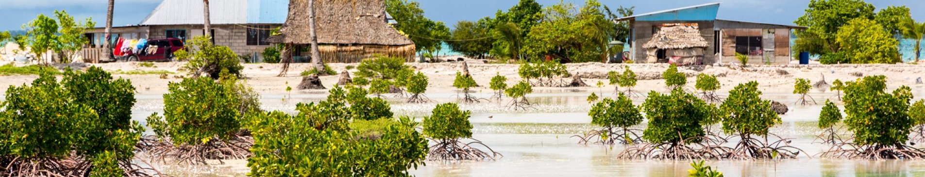 Village on South Tarawa atoll, Kiribati, Gilbert islands, Micronesia, Oceania. Thatched roof houses. Rural life on a sandy beach of remote paradise atoll island under palms and with mangroves around.