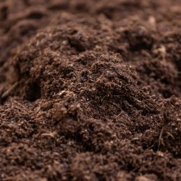 Pile of soil