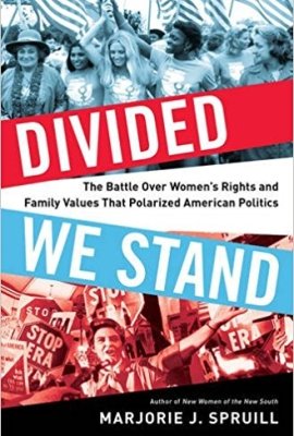 Divided We Stand: The Battle Over Women's Rights and Family Values That Polarized American Politics