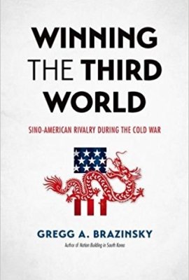 Winning the Third World: Sino-American Rivalry During the Cold War