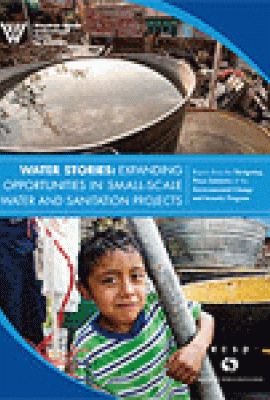 Community-Based Approaches to Water and Sanitation: A Survey of Best, Worst, and Emerging Practices