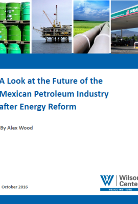 A Look at the Future of the Mexican Petroleum Industry after Energy Reform