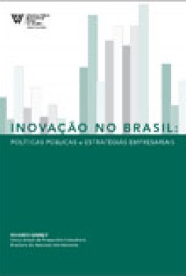 Inova&ccedil;&atilde;o no Brasil: Pol&#237;ticas P&#250;blicas e Estrat&#233;gias Empresariais