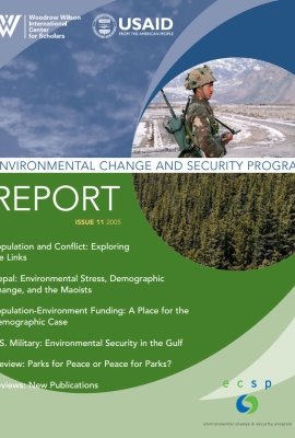 ECSP Report 11