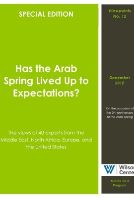 Has the Arab Spring Lived Up to Expectations?