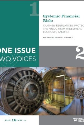 One Issue, Two Voices: Systemic Financial Risk