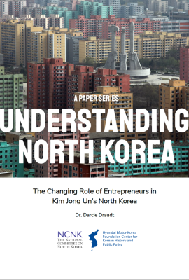 An image of the cover of the report, with a picture of a North Korean city and the title of the report.