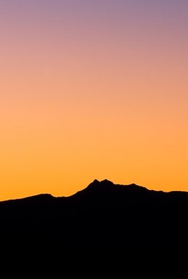 Desert Night Sky