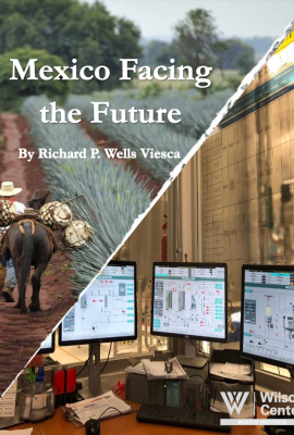 Mexico Facing the Future Cover