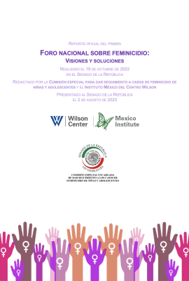 REPORTE OFICIAL DEL PRIMER FORO NACIONAL SOBRE FEMINICIDIO: VISIONES Y SOLUCIONES