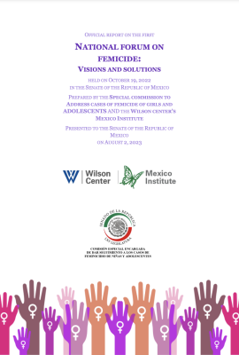 OFFICIAL REPORT ON THE FIRST NATIONAL FORUM ON FEMICIDE: VISIONS AND SOLUTIONS