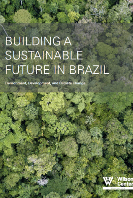 Image - 2020 Sustainable Brazil report cover