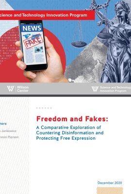 Publication cover for  Images -- STIP Freedom and Fakes: A Comparative Exploration of Countering Disinformation and Protecting Free Expression