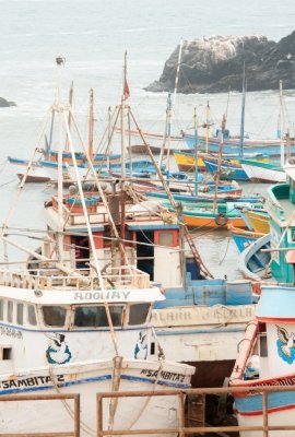 Image - Artisanal Squid Fishing in Peru Threatened by International Fleets