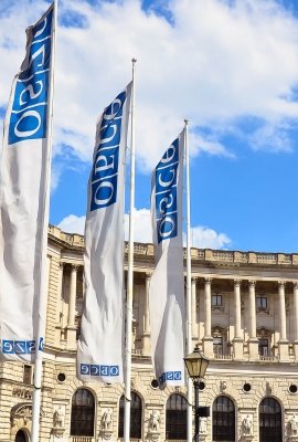 OSCE flags in Vienna