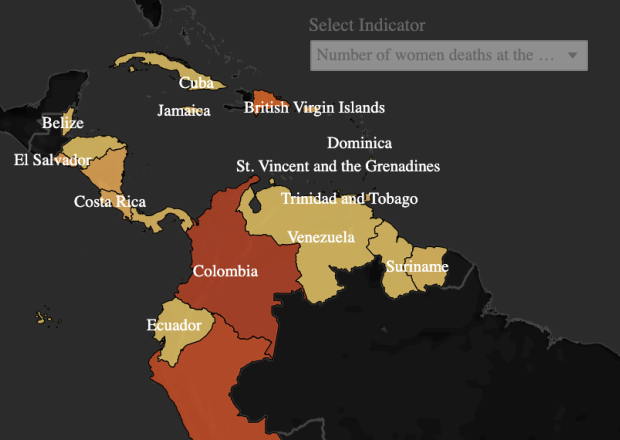 Image - Crop of GBV data dashboard