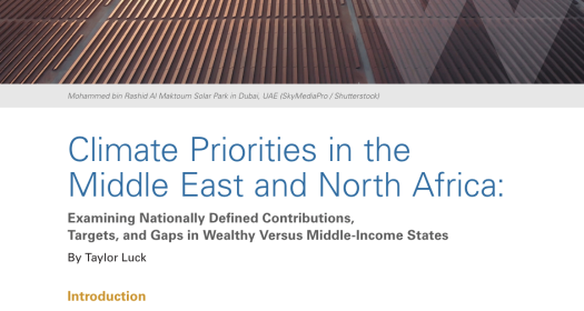 Climate Priorities in the Middle East and North Africa Policy Breif