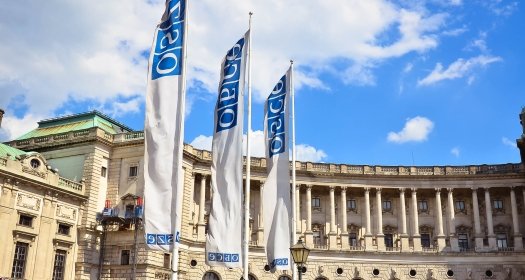 OSCE flags in Vienna