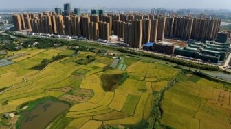 CEF Associate, Susan Chan Shifflett, Interviewed by the Guardian on China’s Food Security and Safety