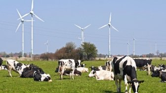 Got Milk? Canada and the U.S. Clash Over Dairy