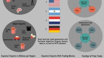 Brazilian Trade Infographic