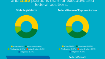 Political Participation in Brazil: A Look at Race