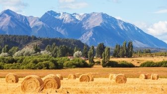 Drought: A Conversation with Esteban Copati, Head of the Agricultural Estimates Department in the Bolsas de Cereales of Argentina