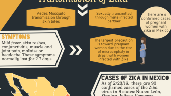 Infographic | Zika in Mexico