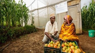 Lushoto. .Site 1.Farmer's name: Iddi Seif.Farmers Group: Individual farmer.Location: Kwekangaga.Crop(s): Tomato greenhouse