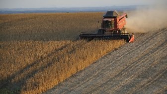 Agriculture Sector Gives Brazil Hope in 2017