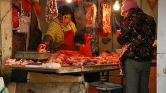 Making Food Safe and Sustainable in China