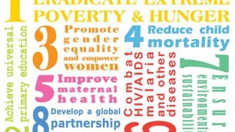 Making the Millennium Development Goals Sustainable