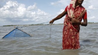 Perfect Storm? Population Pressures, Natural Resource Constraints, and Climate Change in Bangladesh