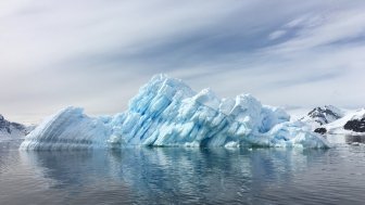 Charting Progress: Creating New Marine Protected Areas in Antarctica and the High Seas