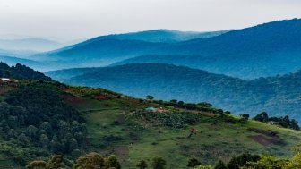 Homesteads dot the valley below Nkuringo. The forested hills behind are the start of Bwindi Impenetrable National Park, home to many of Uganda's iconic Mountain Gorillas. Nkuringo, Uganda.