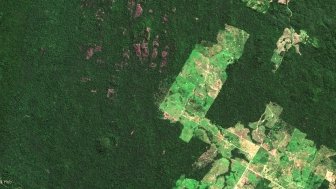 Satellite image of deforestation in Carajas, Brazil (2016).