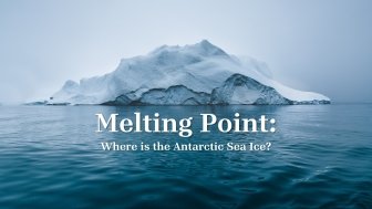 Alternative Antarctic Ice Title image