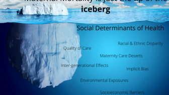 Iceberg