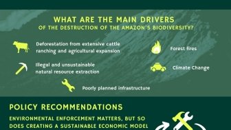 Image - BI infographic - Amazon Biodiversity 2021