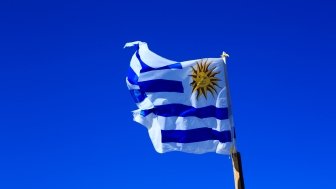 Image - Uruguay flag