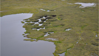 Permafrost degradation