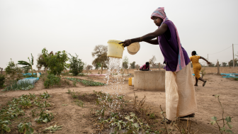 Woman watering crops in Senegal.