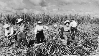 Sugar harvest in Cuba, 1970