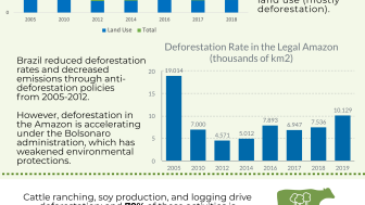 The Paris Agreement and Brazil's Amazon Rainforest Infographic