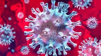 Coronavirus under microscope