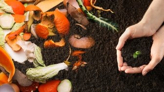 CCCI Food waste and fertilizer