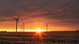 A field of wind turbines at sunset.