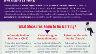 Maria da Penha Infographic